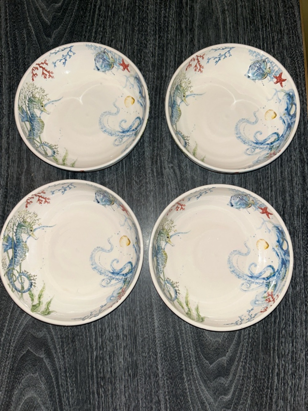 Set of 4 discontinued Pier 1 “Sea Life” pasta or soup bowls.